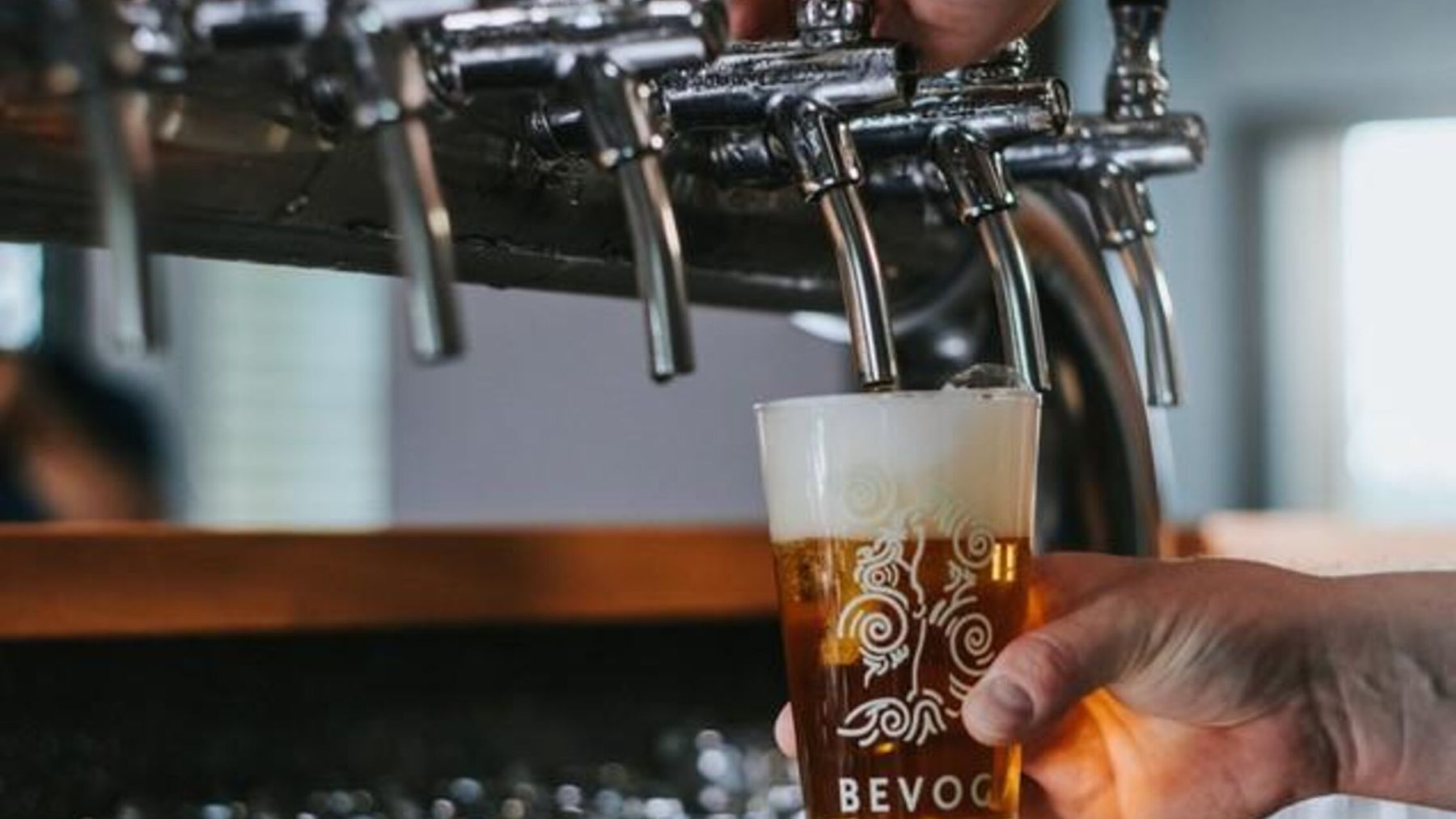 bevog-bier-gezapft_76932817@2x.61fc087b Earth day bei Bevog