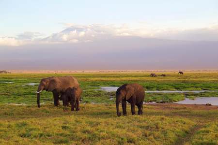 The “Grown-Up Gap Year”: Why Your Next Trip to Tanzania Should Be More Than a Safari