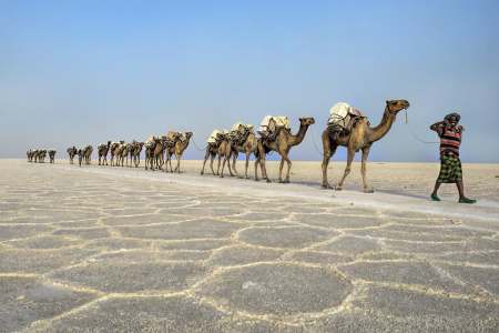 Danakil Depression and Ethiopian Active Volcanoes Erta Ale