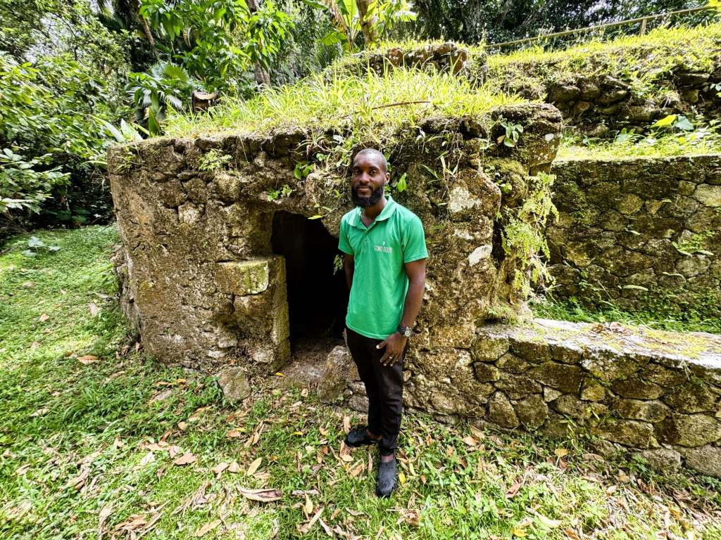 Shyne at the Bastille at Fond Doux Ecolodge Saint Lucia