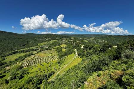 Local Tourism in Allerona Italy