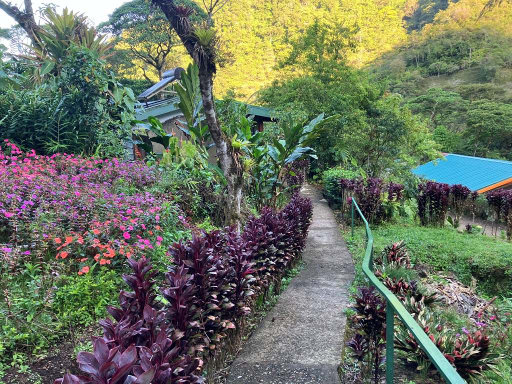 Lovely pathway to our room at Hotel Quelitales