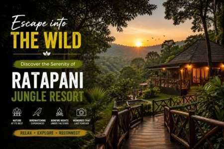 Ratapani: India’s Quiet Tiger Reserve Where Time Moves Differently