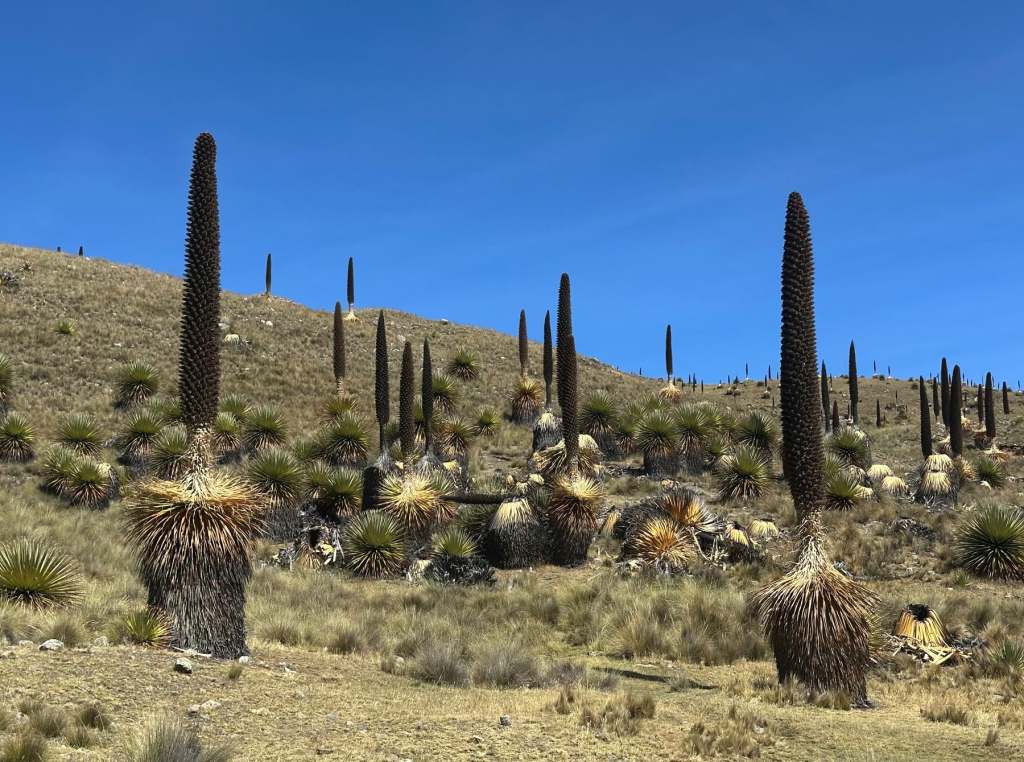 Peru