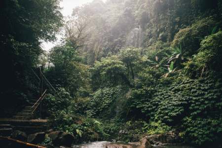 Brazil’s Tourism Industry is Experiencing Record-Breaking Growth