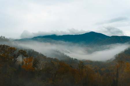 4 Ways to Explore the Great Smoky Mountains
