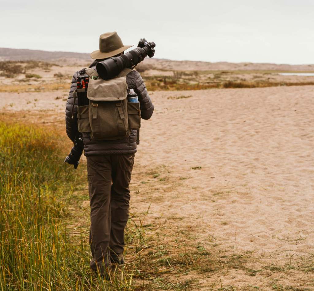 Traveller wilderness