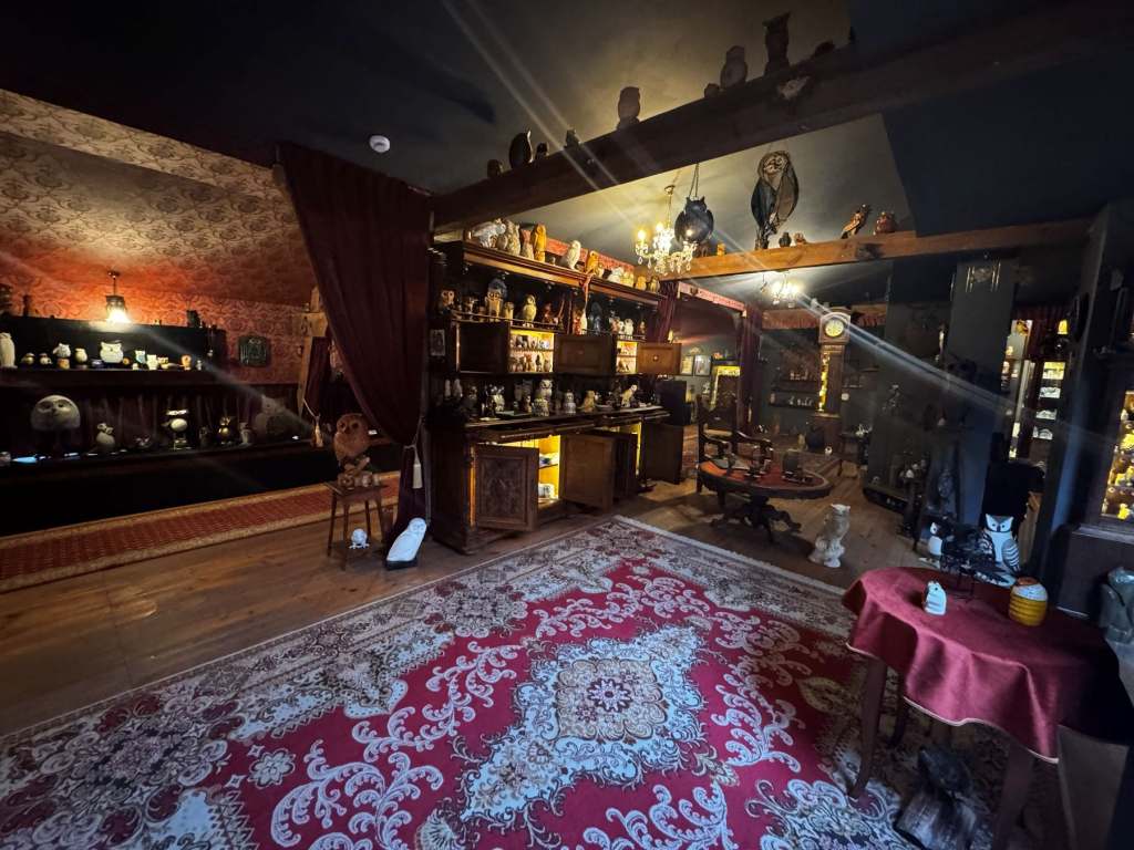 The Owl Museum