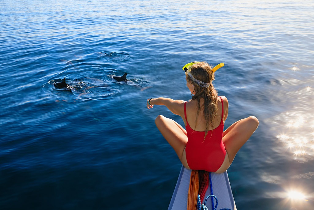 Close encounter with Bottlenose Dolphins in Nelson Bay, Port Stephens