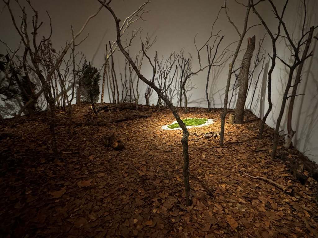 Ana Mendieta Tate Modern