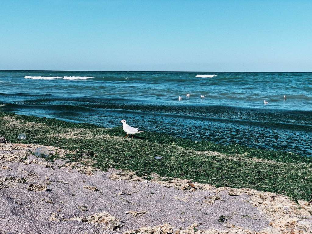 nude beaches in romania