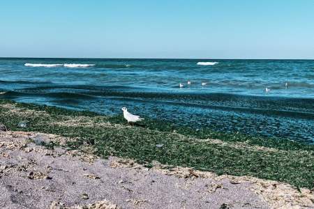 Nude Beaches in Romania: A Practical Guide for Naturist Travellers