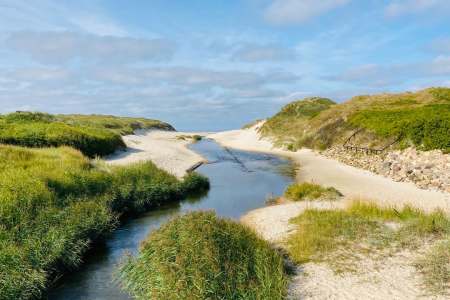 Nude Beaches in Denmark: A Practical Guide for Naturist Travellers