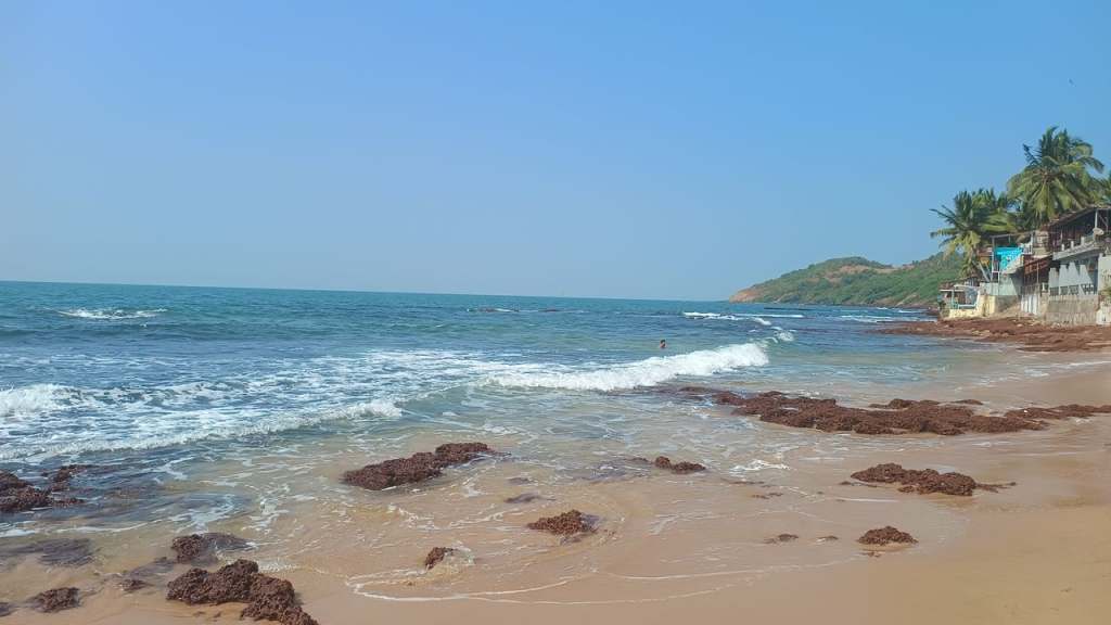 nude beach in india goa