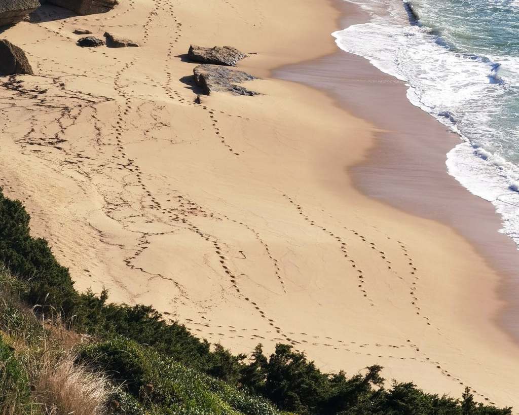 nude beaches in portugal