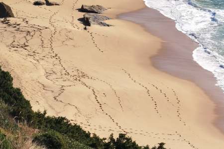 nude beaches in portugal