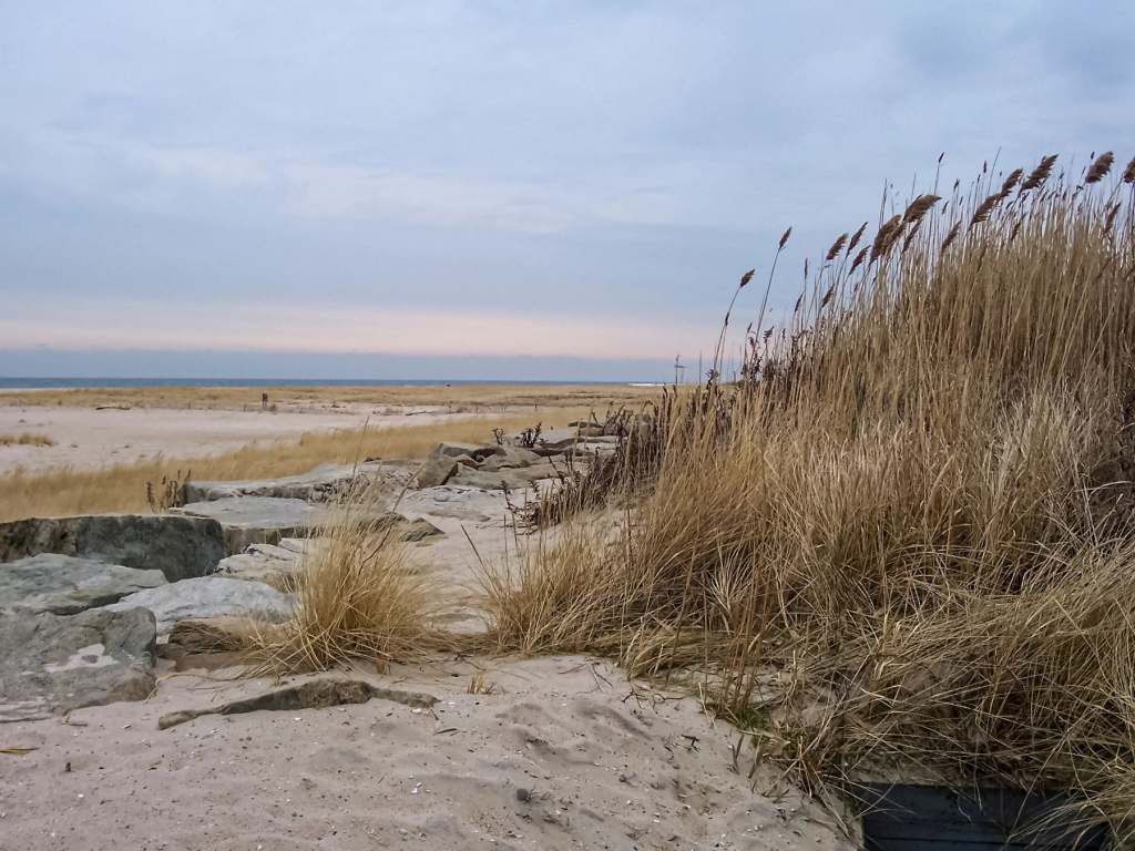 Sand Hook nude beaches in new jersey