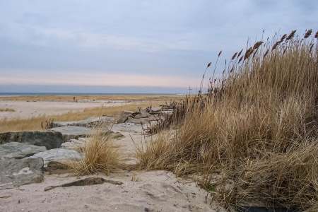 A Practical Guide to Nude Beaches in New Jersey
