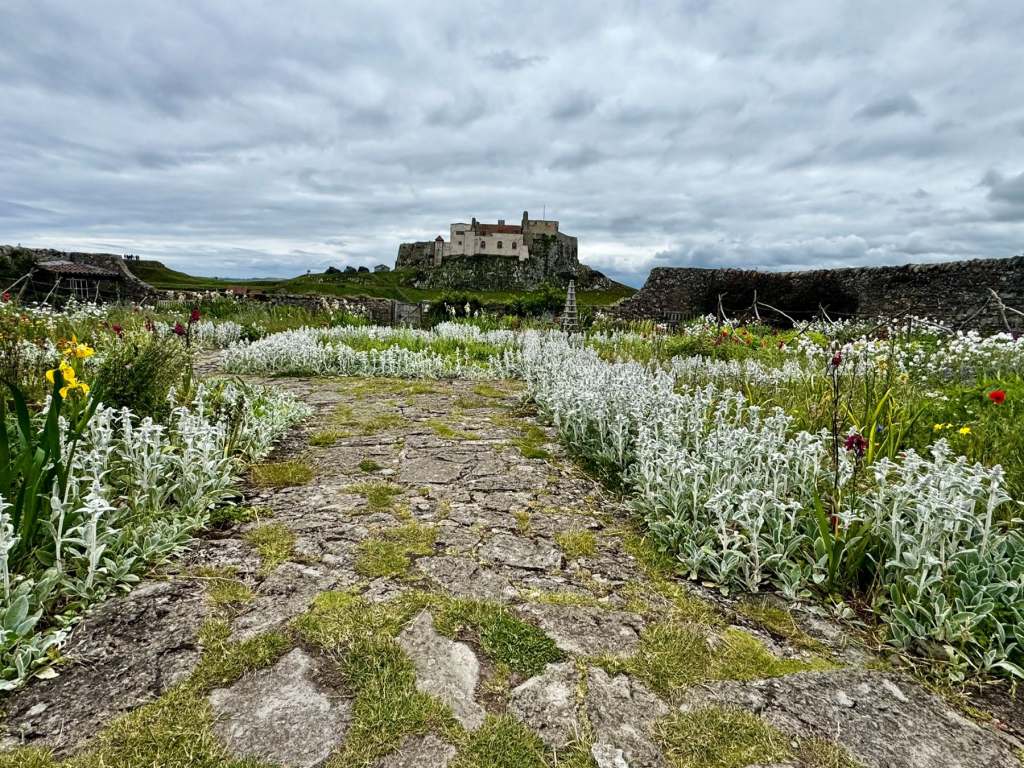 リンディスファーン城を背景にしたガートルード・ジキルの庭園