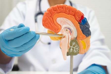 Understanding Endoscopic Neurectomy: A Minimally Invasive Option for Chronic Nerve Pain