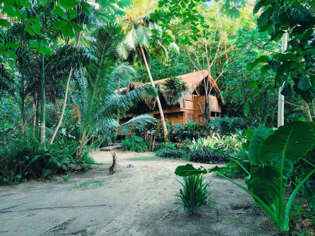 Jungle eco-lodge