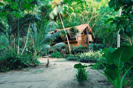 Explore the World’s Most Luxurious Jungle Eco-Lodges for the Ultimate Wild Glamping Experience