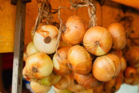 Onion Market Bern Experience Switzerland’s Famous Zibelemärit