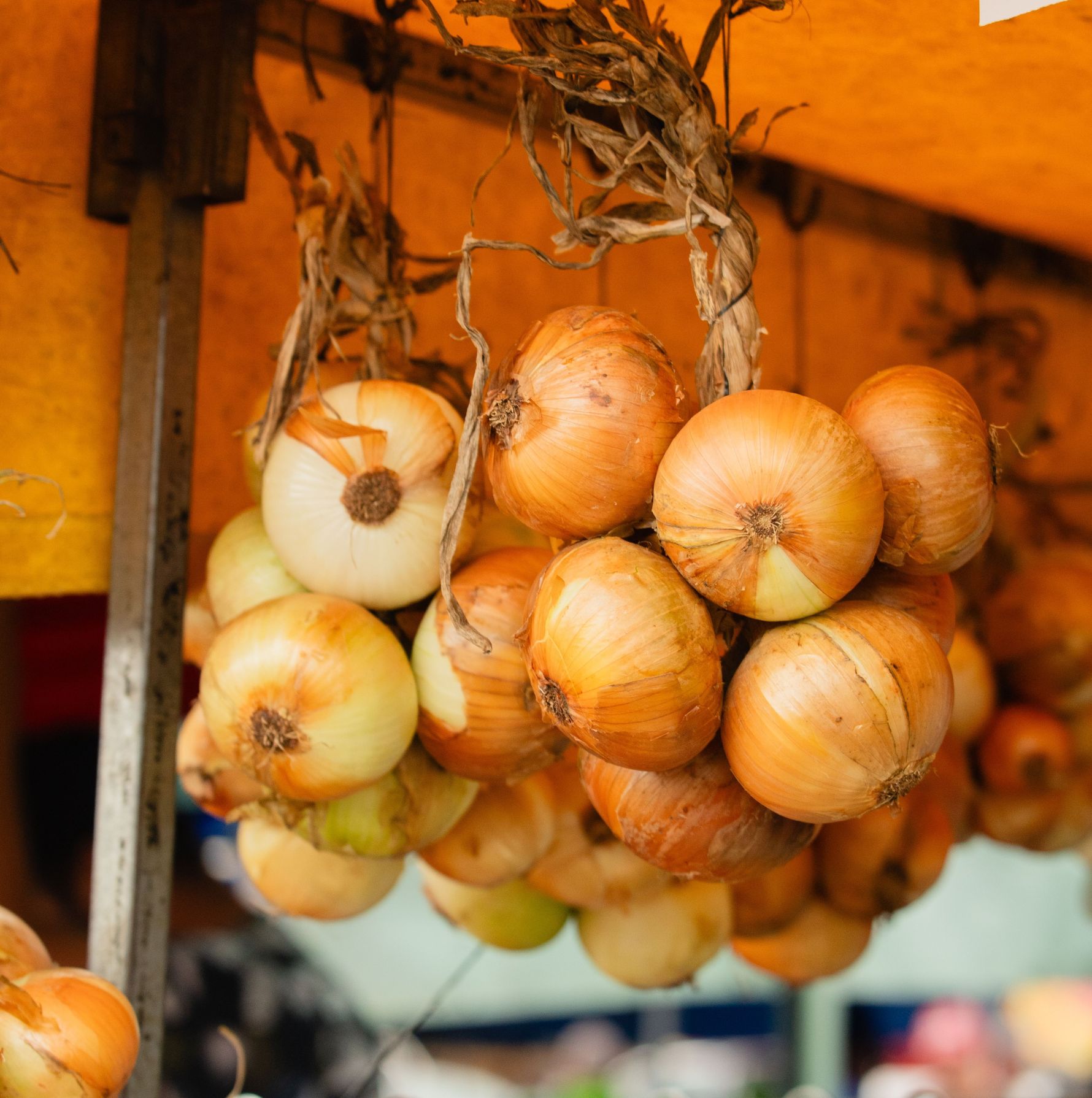 pexels-jonathan-cordova-r-2637981-37757011 onion market