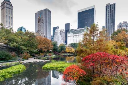 New York City in Autumn 2026: Events, Things to Do and Travel Tips