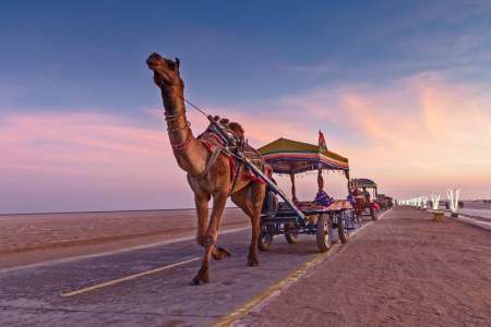 Rann Utsav – The Tent City 2026–27, Dhordo, India
