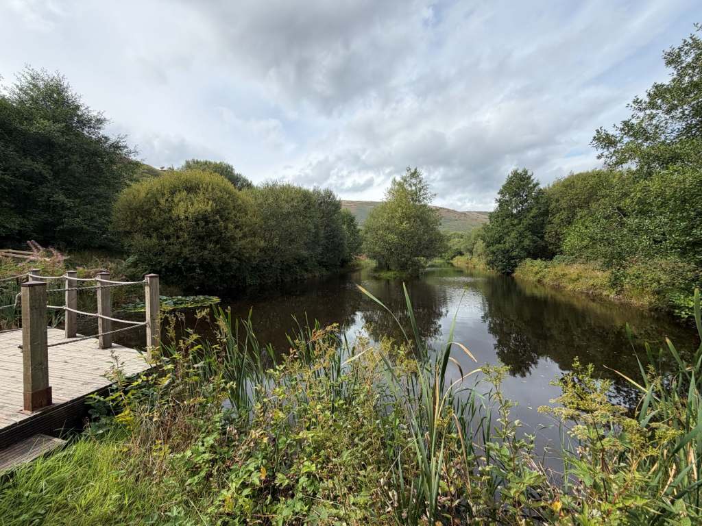 The pond on my walk around Llanerchindda Farm
