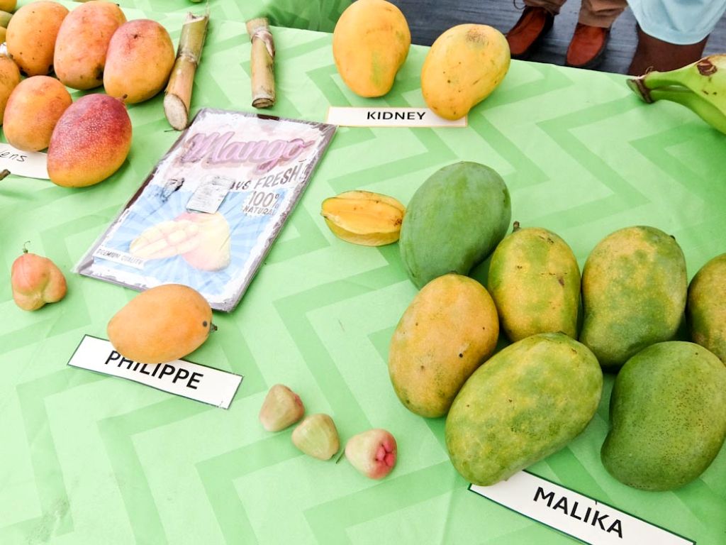 Nevis Mango Festival