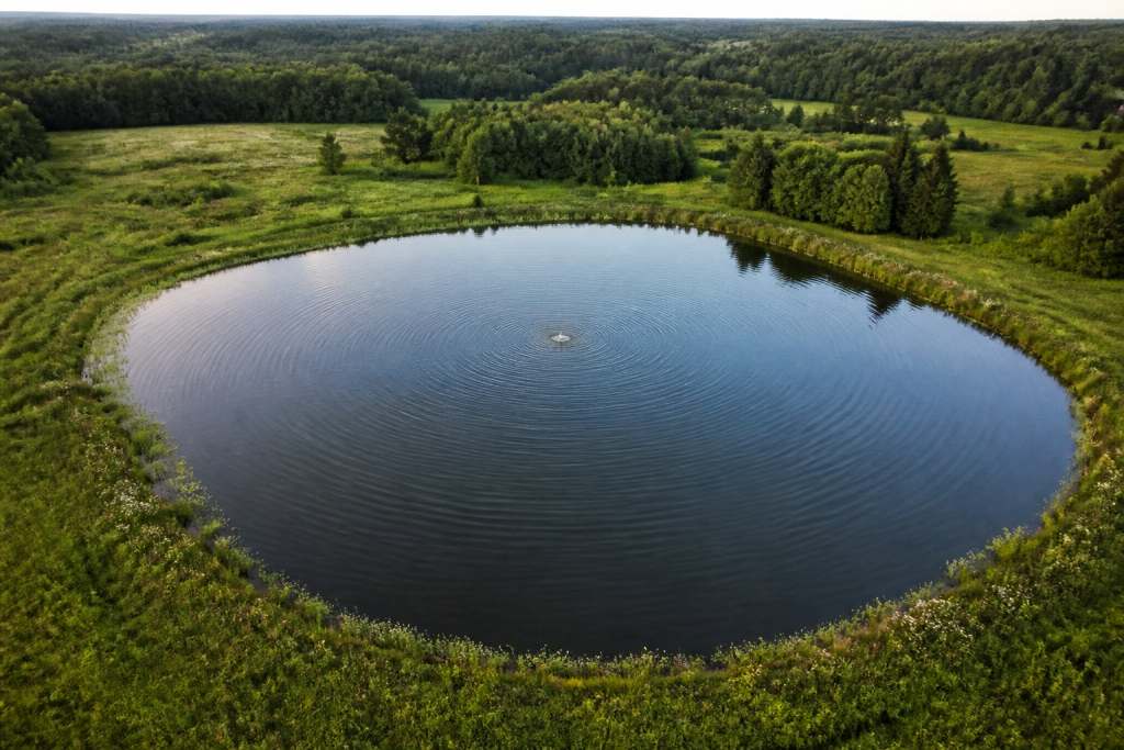 Serene pond surrounded by lush green forest