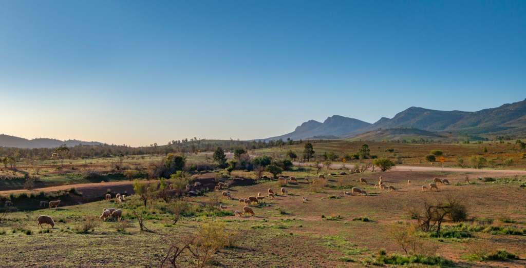 Flinders Ranges