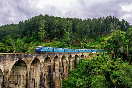 Culture and Wildlife: Crafting an Unforgettable Journey